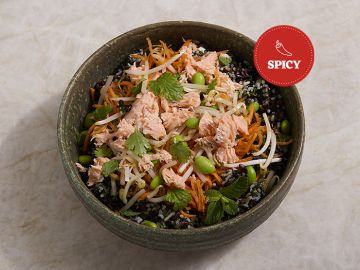 SAUMON ET RIZ SPICY