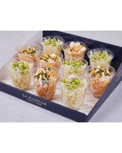  COFFRET MINI SALADES CHOU BLANC WASABI LENTILLE CORAIL