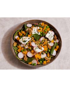 LA COURGE BUTTERNUT & CHEVRE