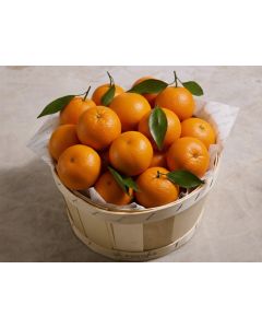 LA CORBEILLE DE CLEMENTINE