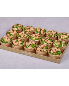 PETIT PLATEAU VERRINES PETITS POIS SAUMON