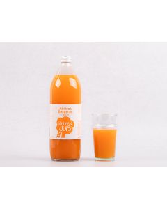 NECTAR D'ABRICOT BERGERON 1L