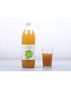 JUS DE POMME BRUT 1L